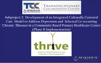 Subproject 2:  Development of an Integrated Culturally Centered  Care  Model to Address Depression