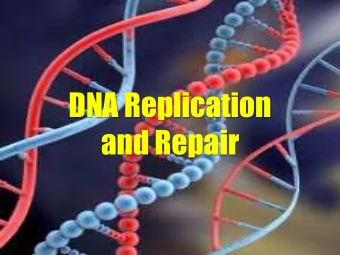DNA Replication  and Repair  http://hyperphysics.phy-astr.gsu.edu/hbase/organic/imgorg/cendog.gif