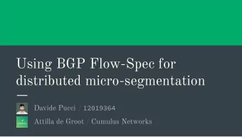 Using BGP Flow-Spec for  distributed micro-segmentation Davide Pucci / 12019364  Attilla de Groot /