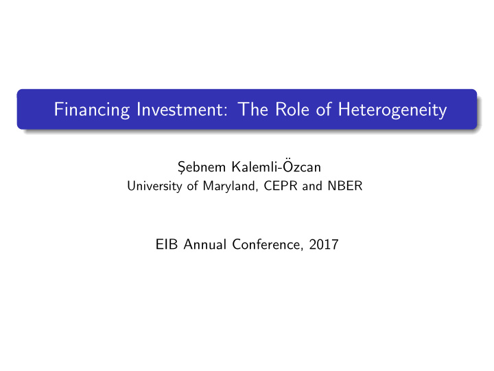 financing investment the role of heterogeneity