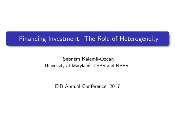 financing investment the role of heterogeneity