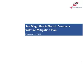 San Diego Gas &amp; Electric Company  Wildfire Mitigation Plan  February 13, 2019  1  SDG&amp;Es