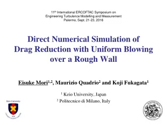 Direct Numerical Simulation of  Drag Reduction with Uniform Blowing  over a Rough Wall Eisuke Mori