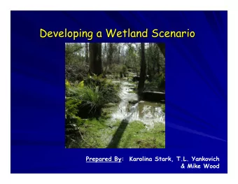 Developing a Wetland Scenario  Developing a Wetland Scenario  Prepared By:  Karolina Stark, T.L.