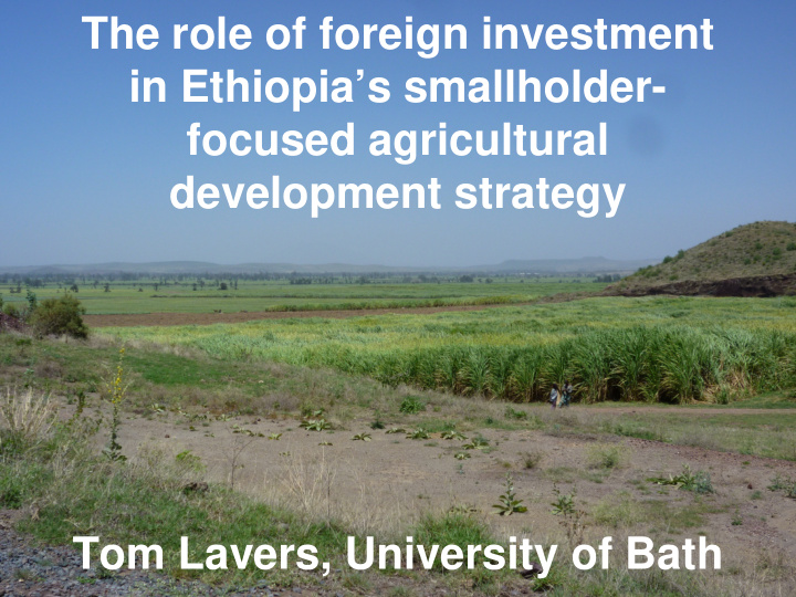 the role of foreign investment in ethiopia s smallholder