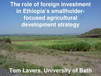 The role of foreign investment  in Ethiopias smallholder-  focused agricultural  development