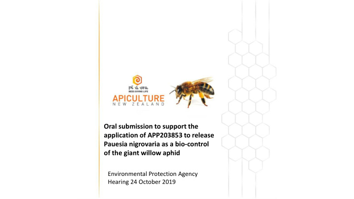 oral submission to support the application of app203853
