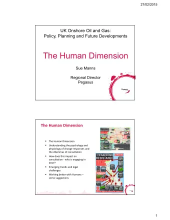 The Human Dimension  Sue Manns  Regional Director  Pegasus  The Human Dimension    The Human