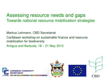 Assessing resource needs and gaps  Towards national resource mobilization strategies  Markus