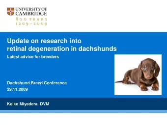 Update on research into  retinal degeneration in dachshunds  Latest advice for breeders  Dachshund