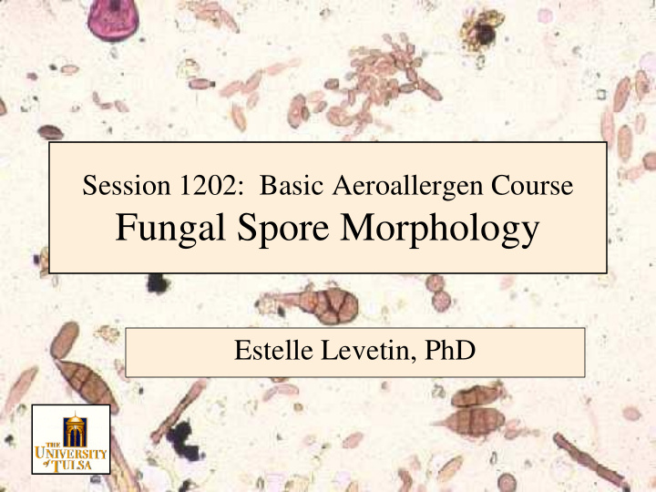 fungal spore morphology