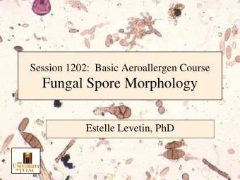 Fungal Spore Morphology  Estelle Levetin, PhD  Disclosure  No conflicts to disclose  Fungal