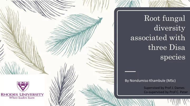 root fungal diversity associated with three disa species
