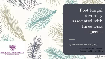 Root fungal  diversity  associated with  three Disa  species  By Nondumiso Khambule (MSc)