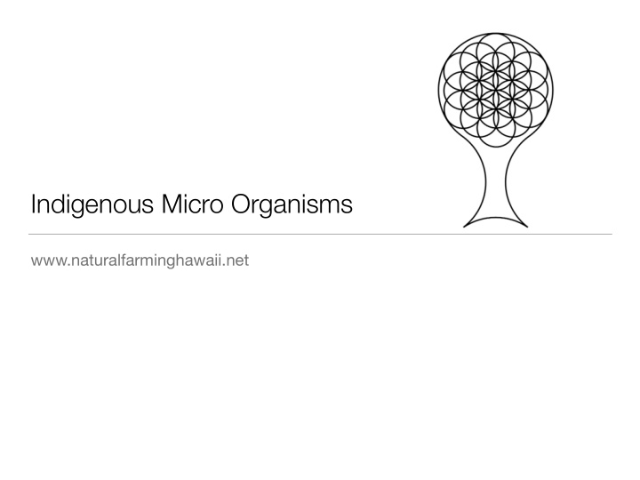 indigenous micro organisms