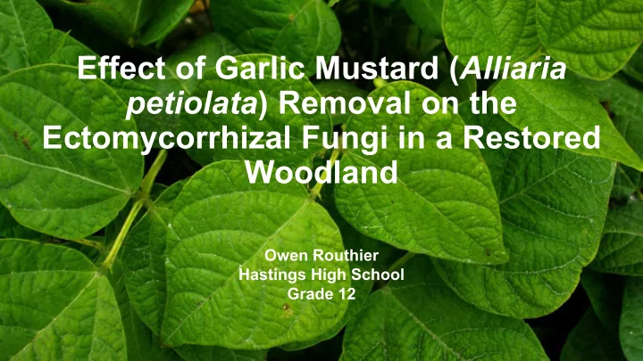 effect of garlic mustard alliaria petiolata removal on