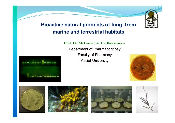 prof dr mohamed a el shanawany