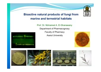 Prof. Dr. Mohamed A. El-Shanawany  Department of Pharmacognosy  Faculty of Pharmacy  Assiut