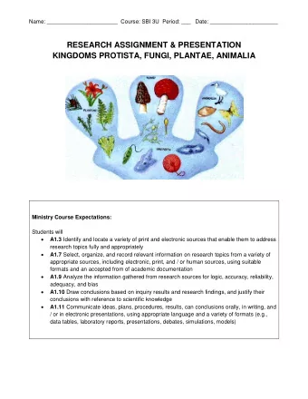 RESEARCH ASSIGNMENT &amp; PRESENTATION  KINGDOMS PROTISTA, FUNGI, PLANTAE, ANIMALIA  Ministry