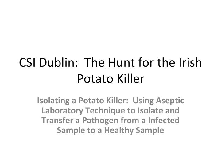 csi dublin the hunt for the irish potato killer