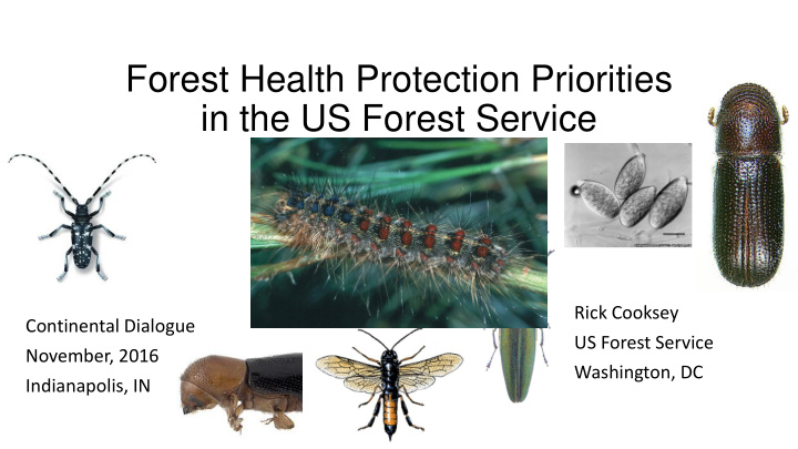 forest health protection priorities