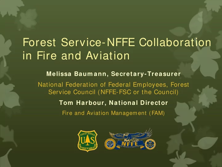 forest service nffe collaboration in fire and aviation