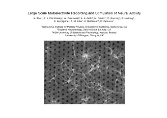 Large Scale Multielectrode Recording and Stimulation of Neural Activity A. Sher 1 , E. J.