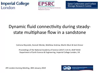 Dynamic fmuid connectjvity during steady-  state multjphase fmow in a sandstone  Catriona Reynolds,