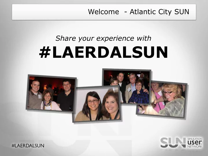 laerdalsun