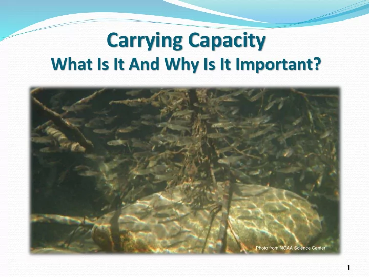 carrying capacity