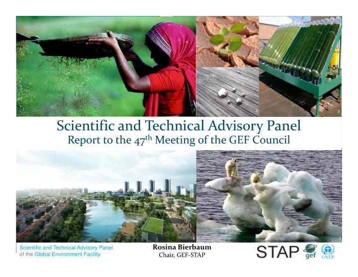 scientific and technical advisory panel
