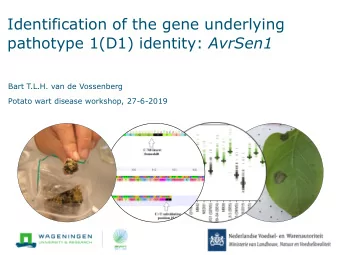 Identification of the gene underlying pathotype 1(D1) identity: AvrSen1  Bart T.L.H. van de