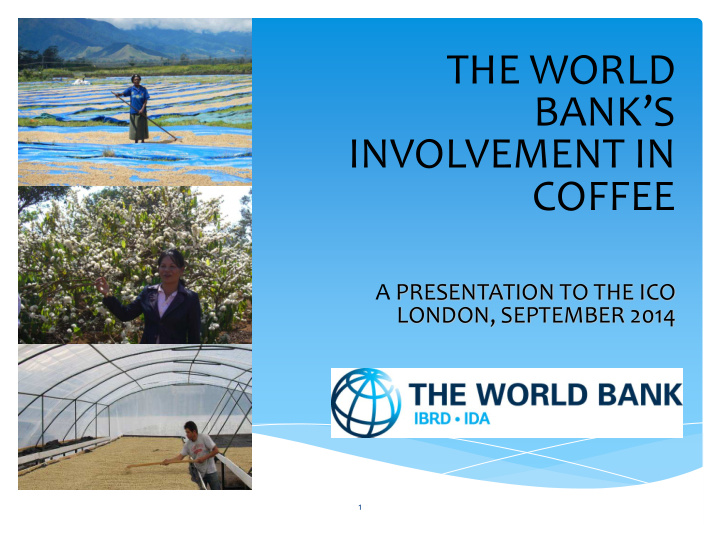 the world bank s involvement in coffee