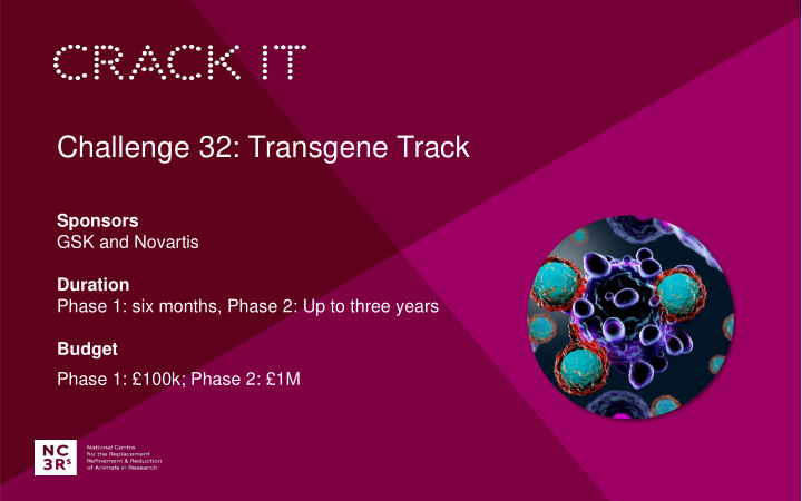 challenge 32 transgene track