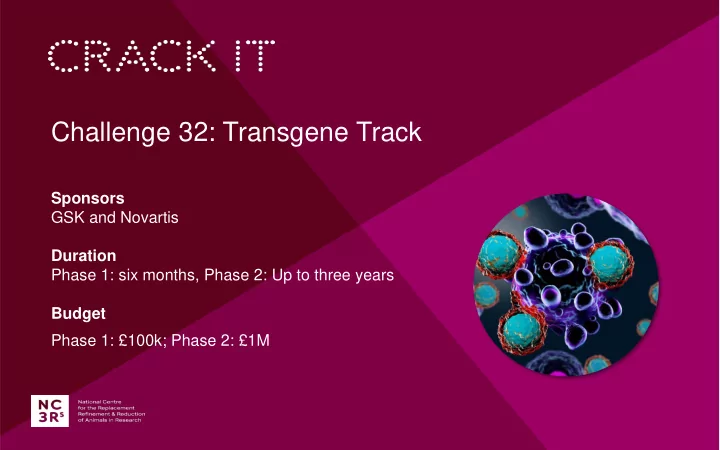 challenge 32 transgene track