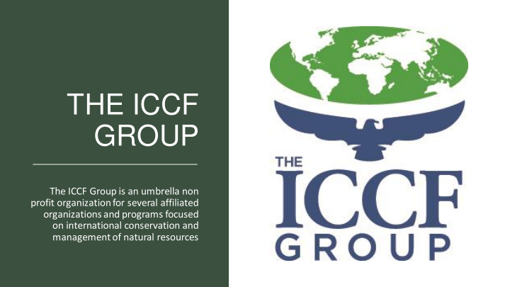 the iccf group