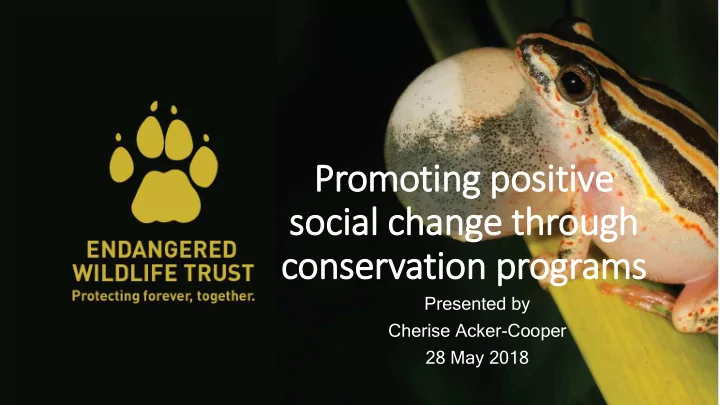 social change through