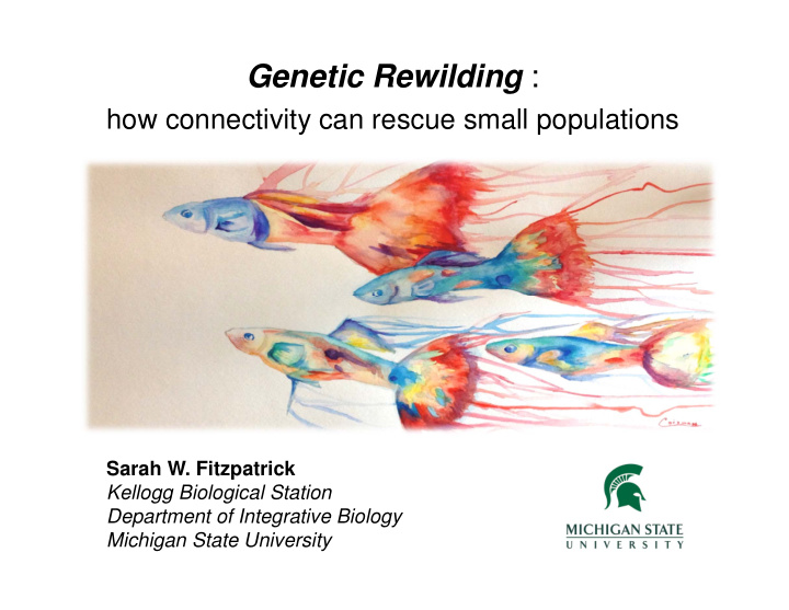 genetic rewilding