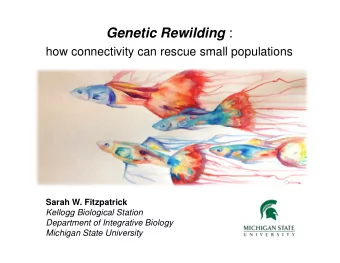 Genetic Rewilding :  how connectivity can rescue small populations  Sarah W. Fitzpatrick  Kellogg
