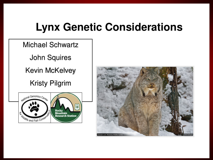 lynx genetic considerations