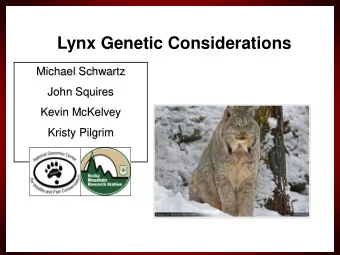 Lynx Genetic Considerations  Michael Schwartz  John Squires  Kevin McKelvey  Kristy Pilgrim  Big