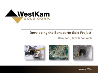 Developing the Bonaparte Gold Project,  Kamloops, British Columbia  January 2014  Forward Looking