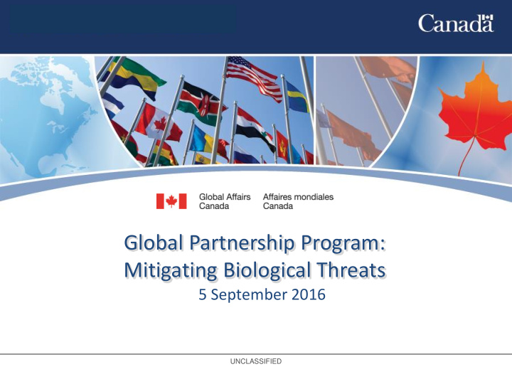 global partnership program title goes here mitigating