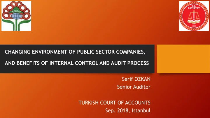 senior auditor