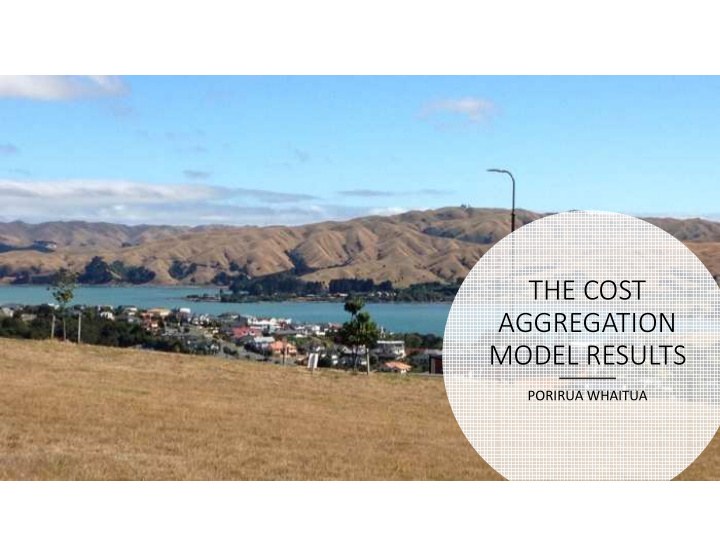 the cost aggregation model results