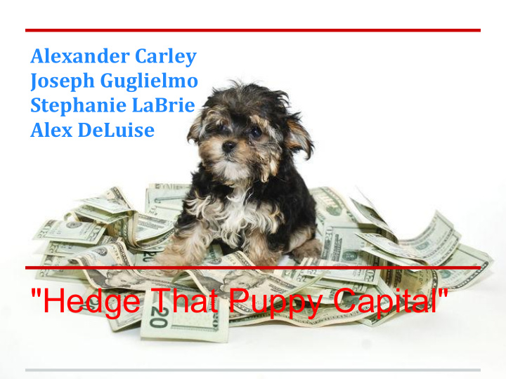 hedge that puppy capital hedge fund style