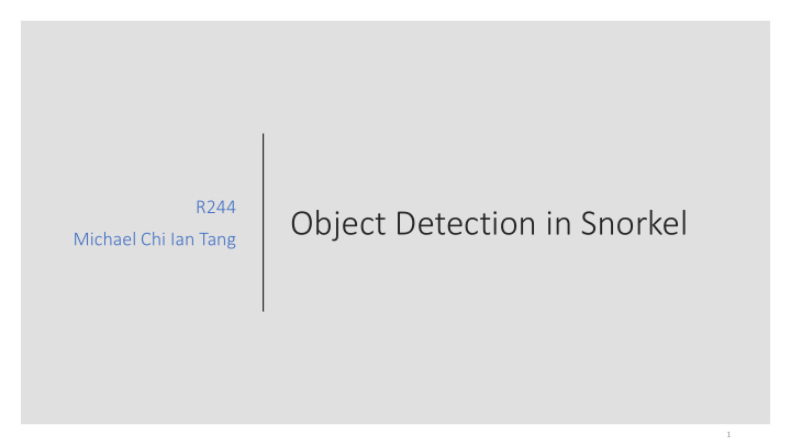 object detection in snorkel