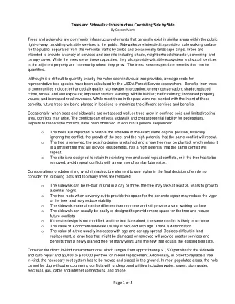 Trees and Sidewalks: Infrastructure Coexisting Side by Side  By Gordon Mann  Trees and sidewalks