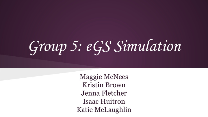 group 5 egs simulation