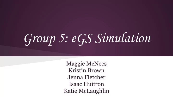 group 5 egs simulation